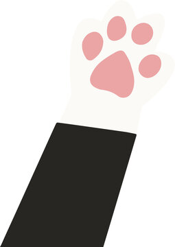 Fototapeta Vector art stylized cat paw is rising with pink pads from black sleeve on transparent background