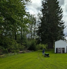 small child with wagon