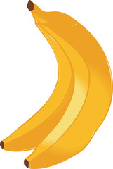 Pair of ripe yellow bananas are being shown in flat illustration with sheen, transparent background