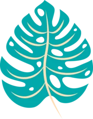 Gardinen Showing vector art of broad teal tropical leaf with cream veins on transparent backdrop, copy space © vectorfusionart