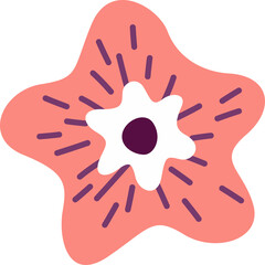 Flat design flower is forming on transparent background, coral-white petals, dark purple oval, rays