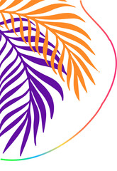 Featuring vector orange and purple palm fronds on transparent backdrop with curving gradient line