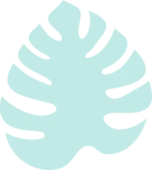 Gardinen Displaying Monstera leaf in vector art showing pale turquoise lobed edges on transparent background © vectorfusionart