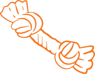 Orange dog rope toy is showing flat design featuring twisted texture on transparent background
