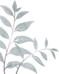 Flat vector branch design is featuring long leaves with veins on transparent background, copy space