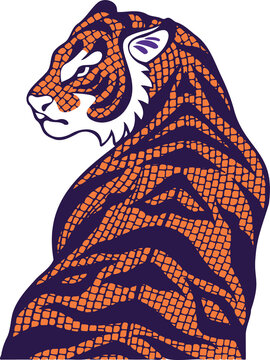 Fototapeta Vector-art tiger is crouching, showing orange spots and purple stripes on transparent background