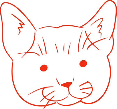 Fototapeta Stylized cat head is being drawn in red line illustration on transparent background, copy space
