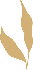 Three abstract stylized plant leaves are flowing in flat golden design on transparent background