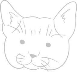 Minimalist line drawing showing cat head with ears, eyes, nose, whiskers on transparent background