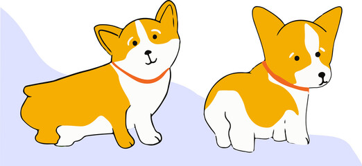 Flat design corgis with transparent background are standing on purple shape wearing orange collars