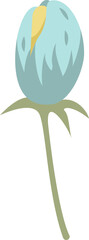 Flat flower bud showing aqua petals shaded yellow tip on olive stem-calyx on transparent background