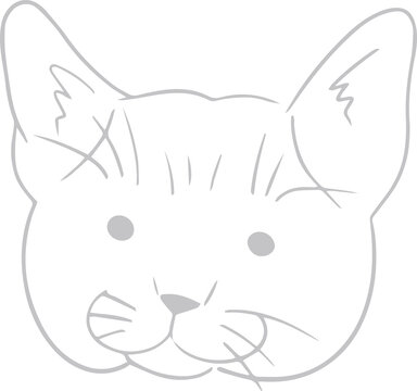 Fototapeta Minimalist line drawing showing cat head with ears, eyes, nose, whiskers on transparent background