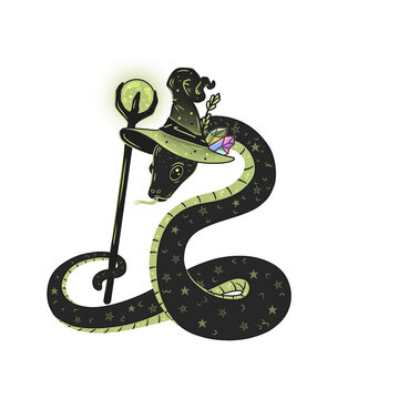 Snake wizard is coiling staff in flat design with green hat and glowing orb, transparent background