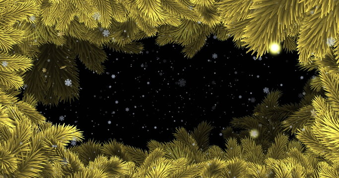 Fototapeta Framing yellow-green pine branches around dark sky in night forest canopy, with snowflakes falling