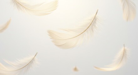 Obraz premium Soft light illuminates gently falling delicate cream feathers. AI Generated