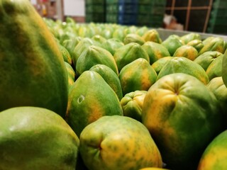 fresh green apples