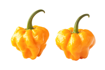 Two ripe Scotch Bonnet peppers, vibrant yellow, isolated on transparent background, close-up view, showing detailed texture and color.