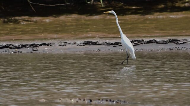 Costa Rica, Guanacaste