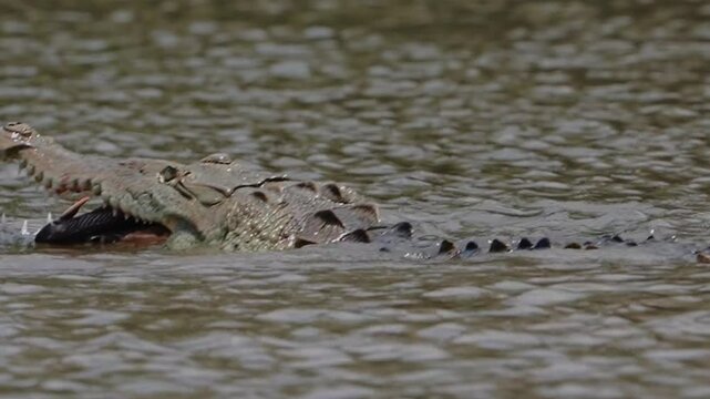 Costa Rica, Guanacaste