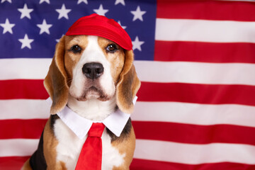Beagle wearing tie and red hat proudly poses in front of American flag at festive event.