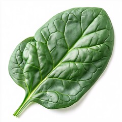 Obraz premium Fresh Organic Spinach Leaves. Vibrant and Nutrient-rich Greens for Healthy Cooking and Diet