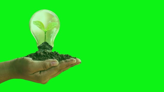 Eco-Innovation: Hand cradles a lightbulb illuminating a thriving sprout, a beacon of sustainable development. Reflecting the power of innovative solutions for a green planet.