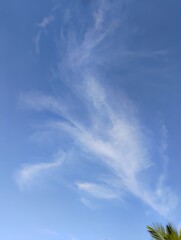 Angelic cirrus clouds float in the early morning sky