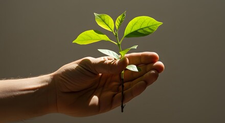 A hand gripping a young plant stem, seamlessly wrapped in green leaves, symbolizing unity with nature. A vivid representation of environmental care and sustainability.
