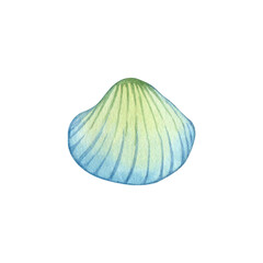 Seashell, mollusk, conch, beach decoration, ocean shore souvenir, pastel colors on white background. Single isolated object. Hand drawn watercolor illustration