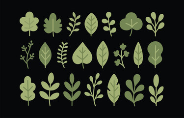 Collection of twenty four green leaf and branch illustrations