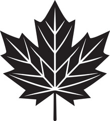 Obraz premium maple leaf vector icon, logo maple leaf vector, maple leaf vector design