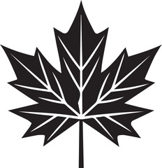 Fototapeta premium maple leaf vector icon, logo maple leaf vector, maple leaf vector design