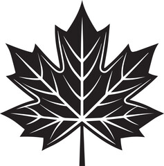 Fototapeta premium maple leaf vector icon, logo maple leaf vector, maple leaf vector design