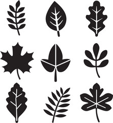 Obraz premium leaves silhouette vector set, set of leaves illustration vector, leaves vector black and white