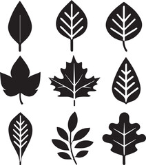 leaves silhouette vector set, set of leaves illustration vector, leaves vector black and white