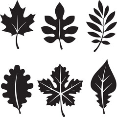 Fototapeta premium leaves silhouette vector set, set of leaves illustration vector, leaves vector black and white