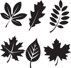 leaves silhouette vector set, set of leaves illustration vector, leaves vector black and white