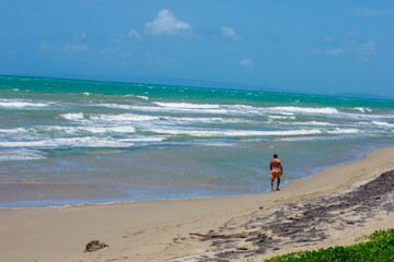Tropical Beach
