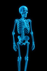 A glowing blue skeleton