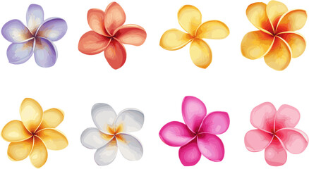 set of frangipani flower petals in color style
