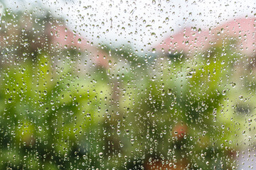Rain drop on window glass with tree background.Rainy day.soft focus
