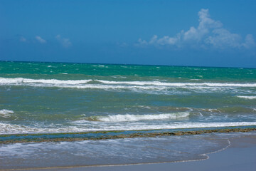 Tropical Beach