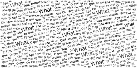 Fototapeta premium What Word Cloud Background