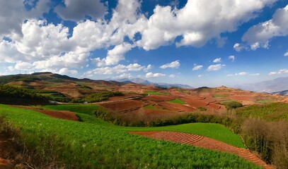 Fototapeta premium Red Soil, Dongchuan District, Kunming, China