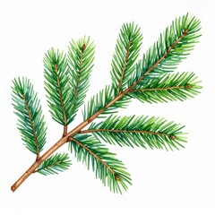 Naklejka premium Watercolor Painting of Lush Green Evergreen Branch