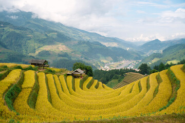 Golden rice terraces cascade down mountainsides, dotted with traditional huts, overlooking a...