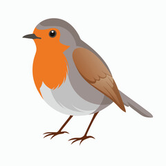 robin on a branch