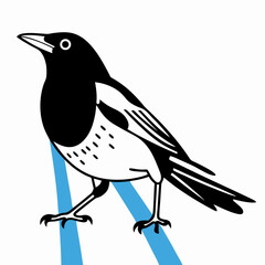 Black and White Magpie Illustration, Bird Drawing