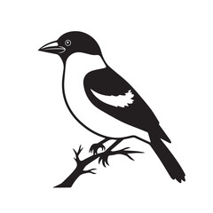 bird on a branch