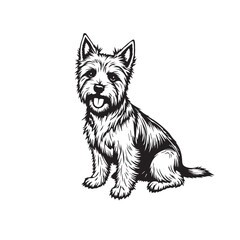 vector illustration of a dog